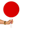 Palete pentru dirijarea circulatiei